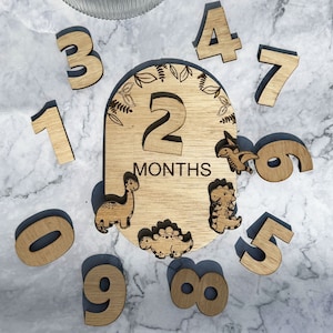 Juego de marcadores de madera con forma de dinosaurio para hitos de bebés: bloques ecológicos para la edad mensual de los recién nacidos: regalo perfecto para baby shower