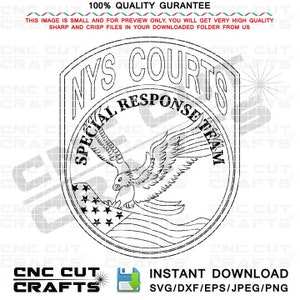 Puede incluir: Diseño de arte de línea en blanco y negro de una insignia con el texto "NYS COURTS SPECIAL RESPONSE TEAM" y un águila con las alas extendidas volando sobre una bandera estadounidense estilizada.
