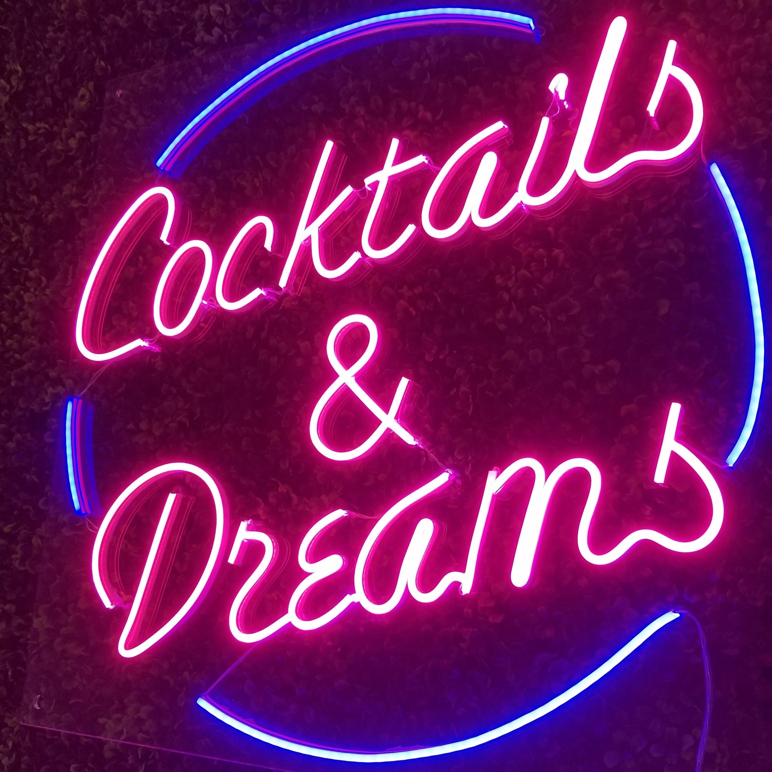 Cocktails and Dreams Cocktails and Dreams Neon Sign Custom Etsy