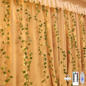 May include: A string of artificial ivy vines intertwined with warm white LED fairy lights. The vine features green fabric leaves and thin copper-colored wire. A remote control and a USB power connector are included for operation.