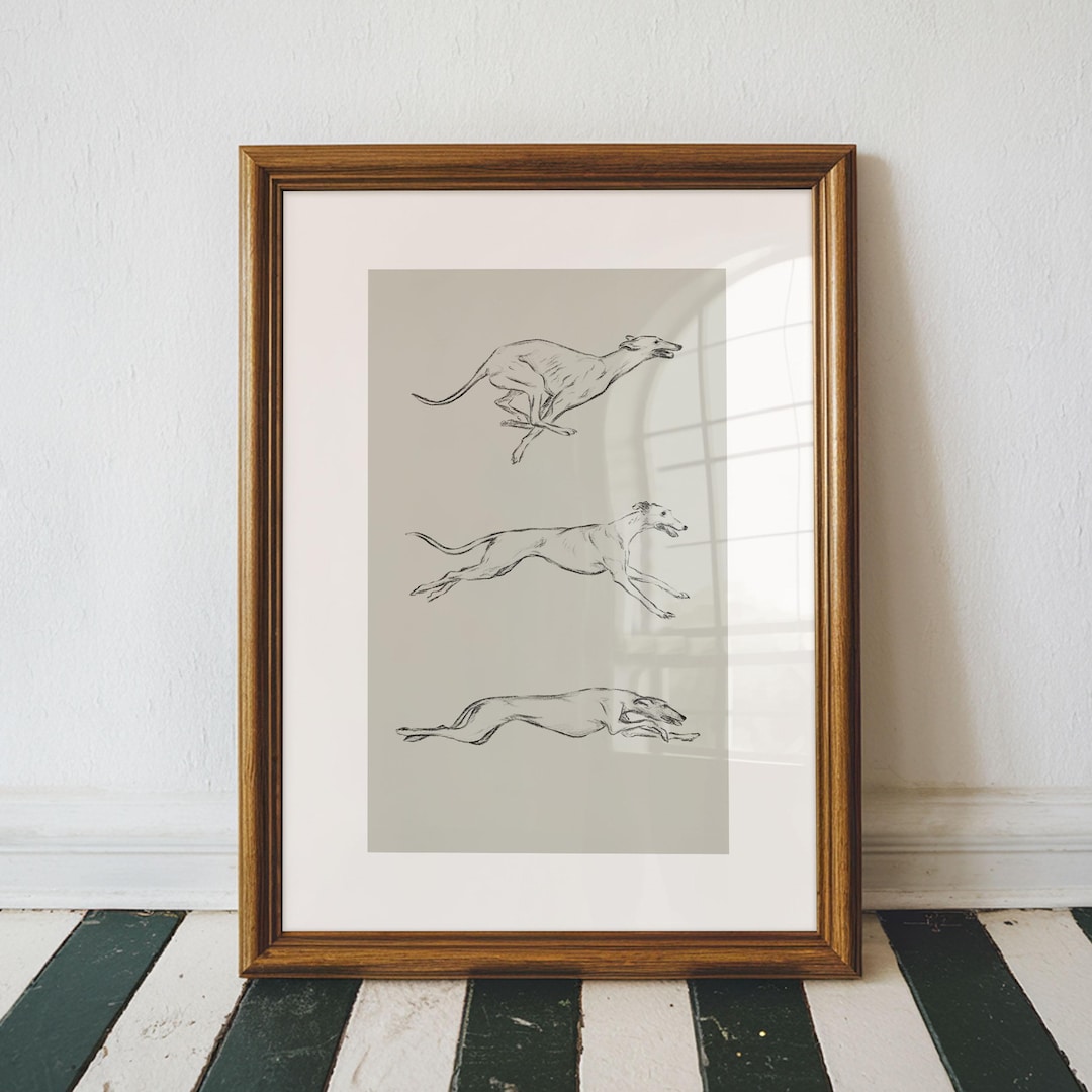 Greyhound Print | Greyhound Drawing, Racing Hound Poster, Greyhound Wall Art, Greyhound Illustration, Dog Poster - Etsy