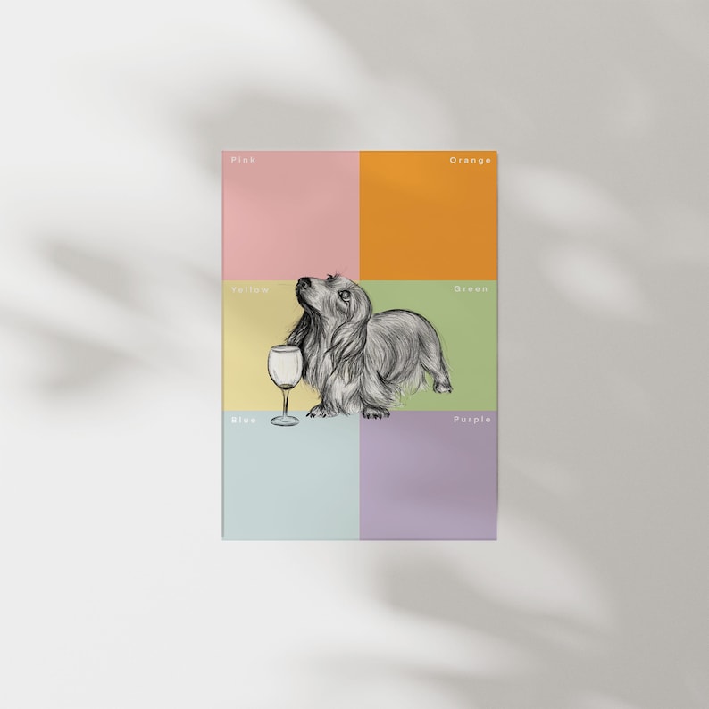 May include: A black and white illustration of a dachshund dog holding a wine glass. The dog is standing on a grid of colored squares labeled with the colors pink, orange, yellow, green, blue, and purple.