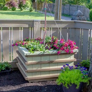 Sweet Tree Box MAKERS GUIDE Make A Colorful Bottomless Raised Bed For Ornamental Trees image 1