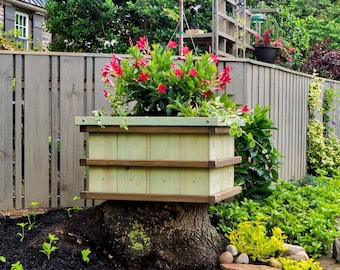 Sweet Stump Box MAKERS GUIDE - Make An Ugly Tree Stump Into A Colorful Planter