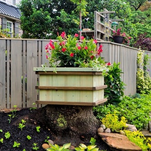 May include: A wooden planter box with a light green finish sits on a tree stump. The planter is filled with red flowers and green foliage. The planter is in front of a gray wooden fence and a blue car.
