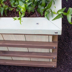 Sweet Tree Box MAKERS GUIDE Make A Colorful Bottomless Raised Bed For Ornamental Trees image 2