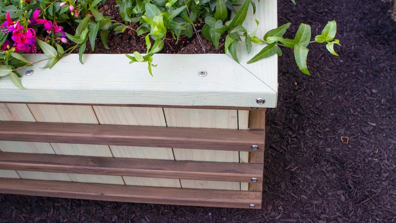 Sweet Tree Box MAKERS GUIDE Make A Colorful Bottomless Raised Bed For Ornamental Trees image 2