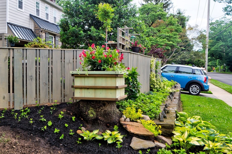 Sweet Stump Box MAKERS GUIDE Make An Ugly Tree Stump Into A Colorful Planter image 1