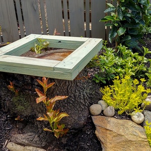 Sweet Stump Box MAKERS GUIDE Make An Ugly Tree Stump Into A Colorful Planter image 6