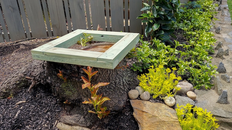 Sweet Stump Box MAKERS GUIDE Make An Ugly Tree Stump Into A Colorful Planter image 6