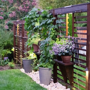 Friendly Trellis MAKERS GUIDE - Pro Plans For Garden Improvement Projects - A Spring Landscape Endeavor?
