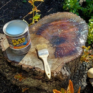 Sweet Stump Box MAKERS GUIDE Make An Ugly Tree Stump Into A Colorful Planter image 3