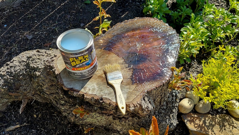 Sweet Stump Box MAKERS GUIDE Make An Ugly Tree Stump Into A Colorful Planter image 3