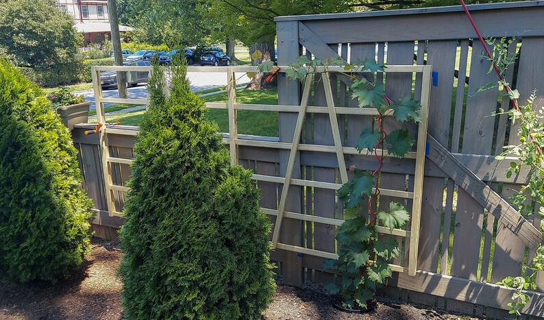 Pocket Art Trellis MAKERS GUIDE Build A Garden Grid for Vining Plants & Esthetic Vignettes image 5