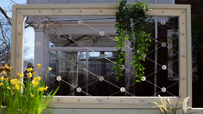 Argyle Wire Trellis MAKERS GUIDE Learn To Become A Vine-Structure Guru image 2