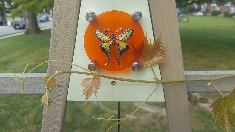 Pocket Art Trellis MAKERS GUIDE Build A Garden Grid for Vining Plants & Esthetic Vignettes image 9