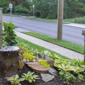 Sweet Stump Box MAKERS GUIDE Make An Ugly Tree Stump Into A Colorful Planter image 2