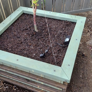 Sweet Tree Box MAKERS GUIDE Make A Colorful Bottomless Raised Bed For Ornamental Trees image 9