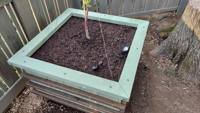 Sweet Tree Box MAKERS GUIDE Make A Colorful Bottomless Raised Bed For Ornamental Trees image 9