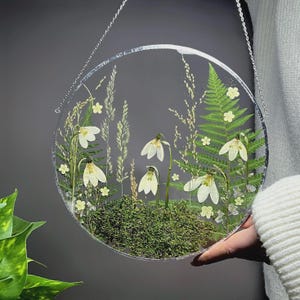May include: A circular clear resin wall hanging featuring pressed white snowdrop flowers, green fern fronds, tall grasses, and a patch of textured green moss. The piece is suspended by a thin silver metal chain attached to the top rim.