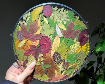 Stained Glass Pressed Flower Art, Botanical Wall Hanging