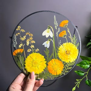 May include: A circular wall hanging featuring pressed yellow and orange flowers, white snowdrop blossoms, and green foliage encased between two clear glass panes with a thin black metal frame and a small black hanging chain attached to the top.