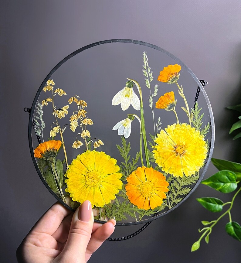 May include: A circular wall hanging featuring pressed yellow and orange flowers, white snowdrop blossoms, and green foliage encased between two clear glass panes with a thin black metal frame and a small black hanging chain attached to the top.