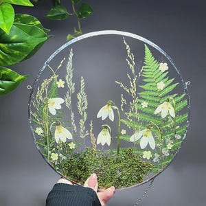 May include: A circular glass wall hanging featuring pressed white snowdrop flowers, green fern fronds, tall grasses, and patches of green moss encased between two clear glass panes with a thin silver metal frame and a small hanging chain.