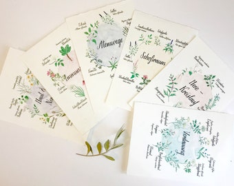 Medicinal Plants Postcards (Set of 6)