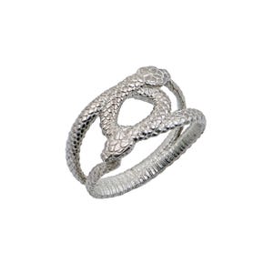 May include: A silver ring featuring a detailed design of two intertwined snakes. The snakes' bodies form the ring's band, with their heads facing each other. The ring has a textured, scale-like pattern, and is set against a white background.