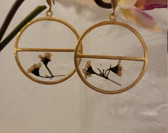 Wachsblumen
