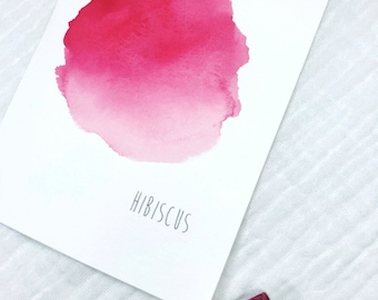 Handmålad hibiskus akvarell