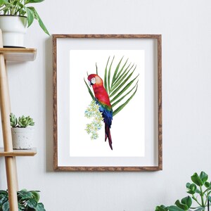 A4 Art Print | Macaw Art Print  |