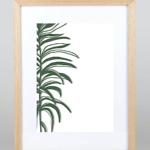 A4 Art Print | Leaf Series:05 |