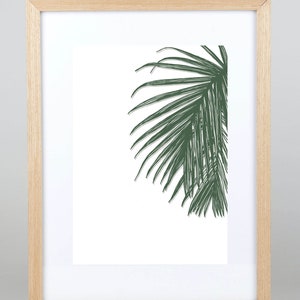 A4 Art Print | Leaf Series:04 |