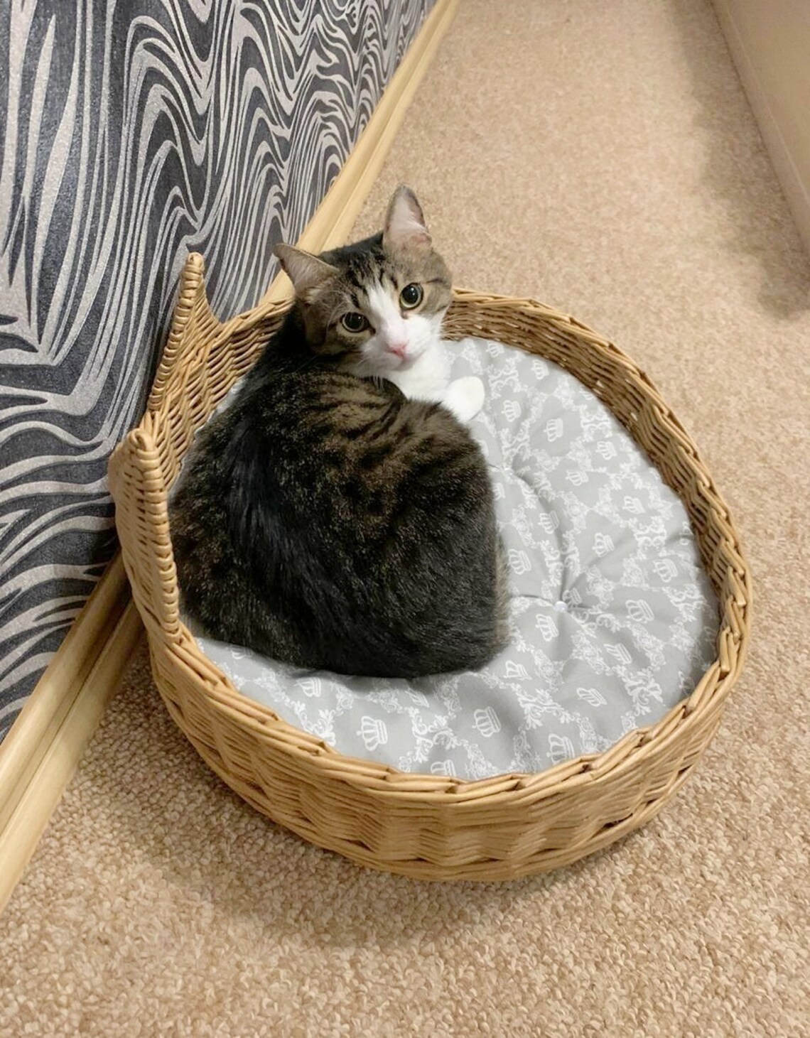 Wicker bed for a cat Cat bed CUSHION pet bed oval wicker Etsy