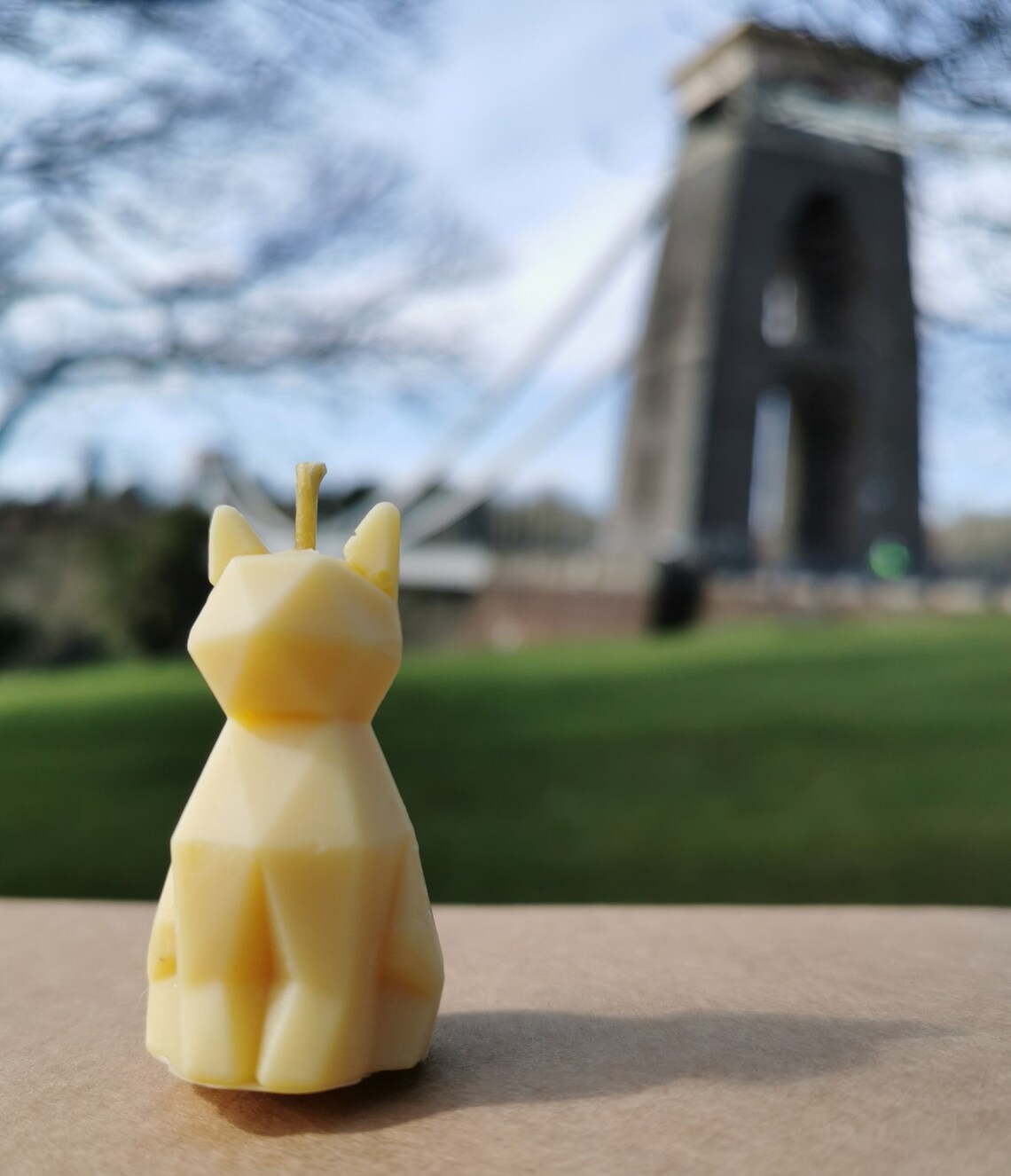 9 cat candles 100 pure beeswax with no added fragrance Etsy