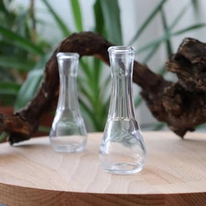 11 Traditional Balkan Glass Set - Croatian Serbian Rakija Grappa Cups - 1x 250ml & 10x 50ml Glasses