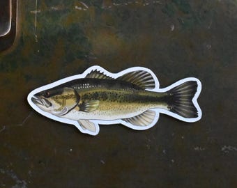 Largemouth Bass Magnet: Hand-Drawn Fisherman Gift
