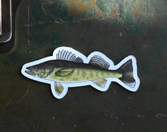Walleye Magnet | Hand-Drawn | Fisherman Gift | Outdoor Inspired | Little Rocks Design