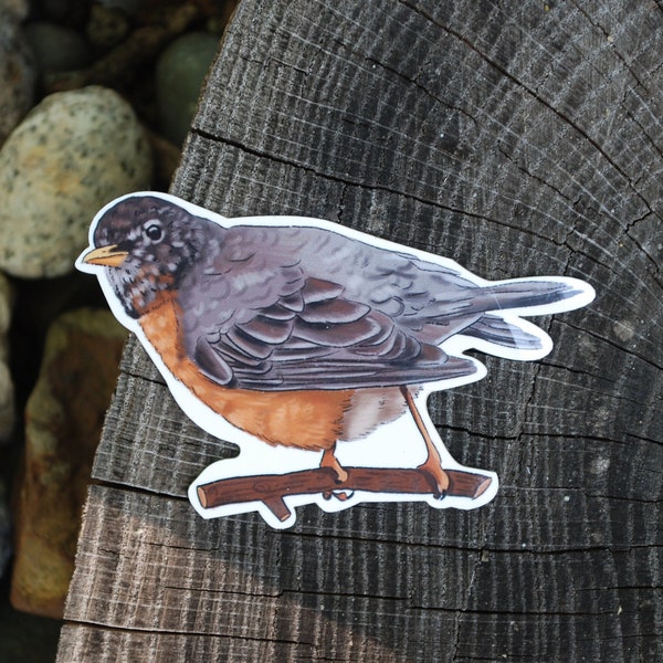 Robin Sticker | Bird Decal | Waterproof Sticker | Laptop Decal | Outdoorsy Birthday Gift | Best Friend Gift | Water Bottle Label