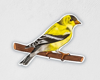 May include: A yellow and black bird with a short, pointed beak perched on a brown branch. The bird has a yellow body with black stripes on its wings and tail.