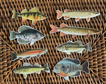 Fish Sticker Pack: Waterproof Fishing Decals, Hand-Drawn