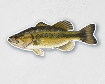 Largemouth Bass Sticker: Waterproof Fish Decal for Laptop