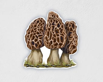 Morel Mushroom Sticker: Waterproof Laptop Water Bottle Decal