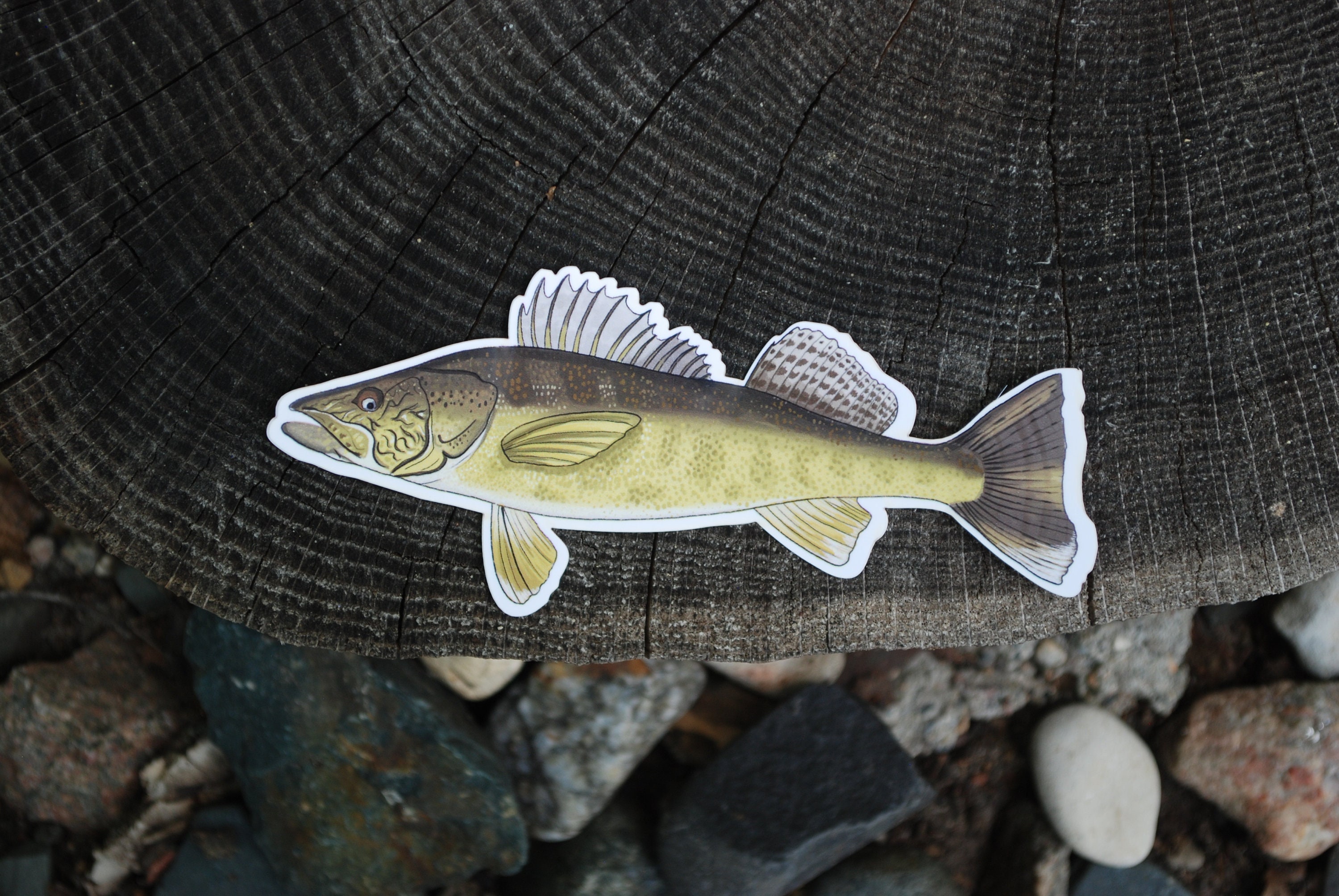 Large Fish Decal 