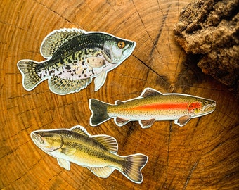 Hand-Drawn Fish Sticker Pack: Crappie, Bass, Trout - Waterproof Decals