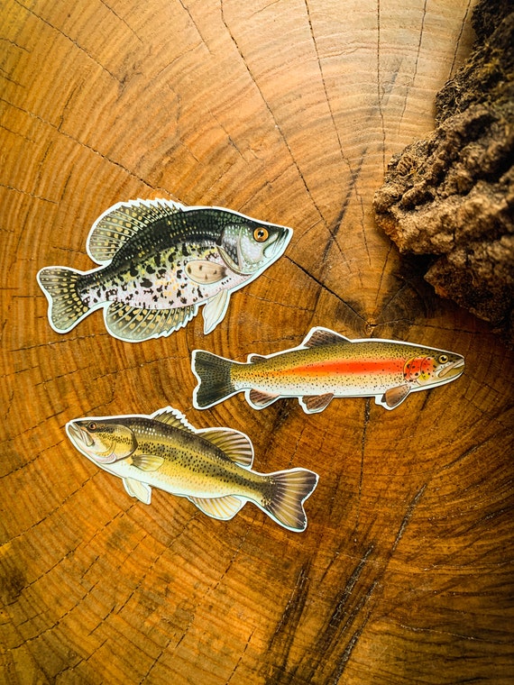Lake and River Fish Sticker Pack 3 for Ten Dollars Crappie, Bass, Trout  Waterproof Decal Lake Stickers Laptop Stickers 