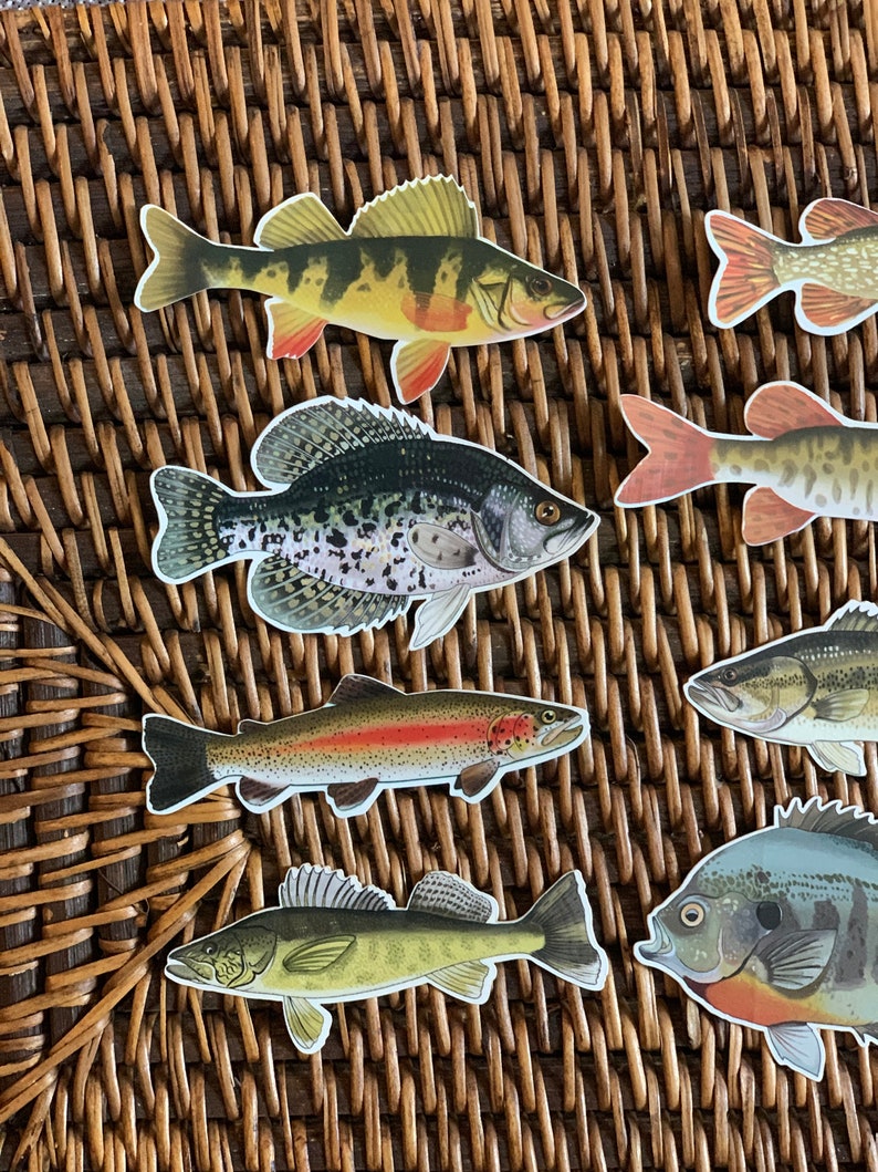 May include: A set of colorful fish stickers featuring a variety of species, including a yellow and black striped bass, a black and white crappie, a rainbow trout, a green walleye, and a blue and green sunfish. The stickers are on a woven wicker background.