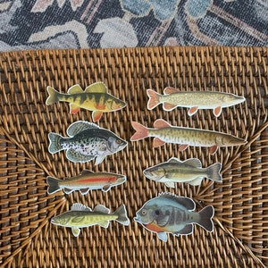 May include: Eight different fish stickers on a woven brown wicker surface. The stickers are of various fish species, including a bass, a crappie, a walleye, a trout, and a perch.